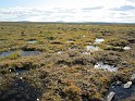 kesä 2011 377